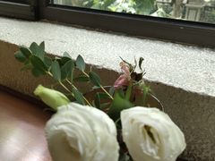 -Ginger(兴国路店)