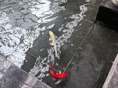 -天津海河悦榕庄·Lobby Lounge大堂吧