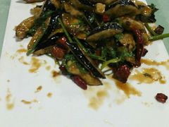 -兴芮温泉度假区