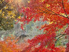 -狼山风景名胜区