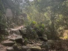 -会稽山峡洞漂流-上青古道