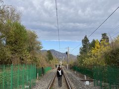 -妙峰山风景名胜区