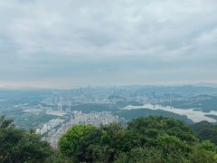 -梧桐山风景名胜区