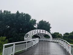 -同里国家湿地公园