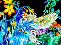 -海合安武汉极地海洋公园