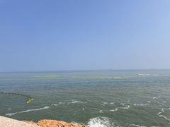 -小麦岛公园