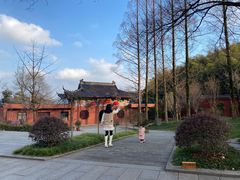 -冶父山国家森林公园