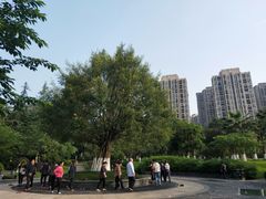 -龙头寺公园