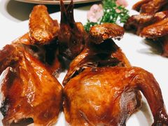 -觅唐MITONG(鸟巢店)