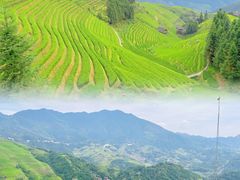 -龙脊梯田