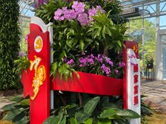 -东平国家森林公园