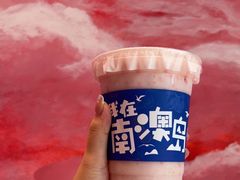 -南澳岛打卡果汁冰公司