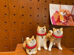 -代数学家algebraist(诚品店)