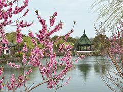 -无锡蠡湖国家湿地公园-蠡园