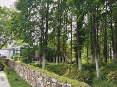 -田园东方蜜桃村的田野营地