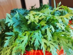 茼蒿-彤德莱火锅(果园路店)