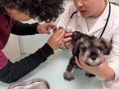 -宠福鑫康馨动物医院·骨科·眼科