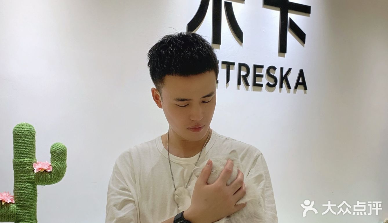 撸猫胜地🌵利路修同款未卡猫空间