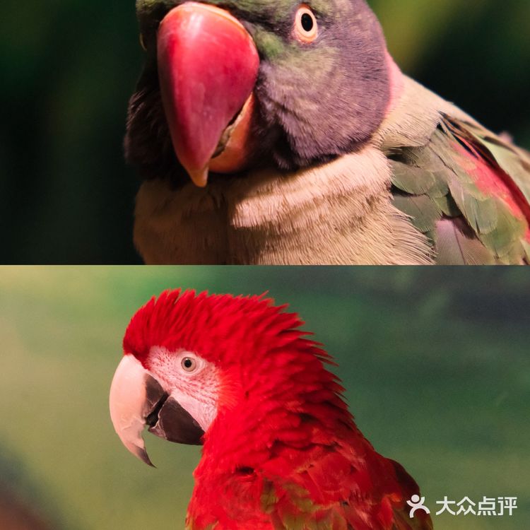 可以说是天津最大的室内动物园了