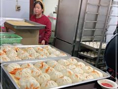 -清真石家包子(大皮院总店)