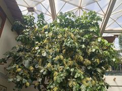 -忆江南·生态餐饮宴会酒店