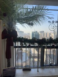 -小梨专业脱毛连锁机构
