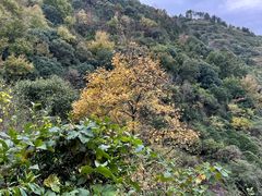 -大罗山风景区