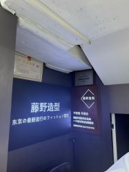 点击看大图 -藤野造型