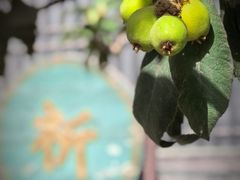 -西安化觉巷清真大寺