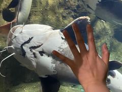 -南昌海洋公园