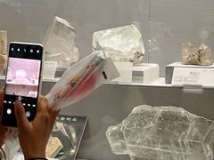 -湖南省地质博物馆