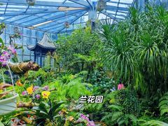 -东莞植物园