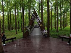 -黄海国家森林公园