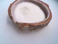 原味椰棕西米露-龙吟山房(青龙山庄店)