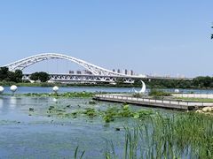 -澹台湖公园