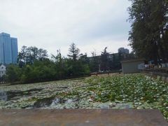 -四川大学(望江校区)