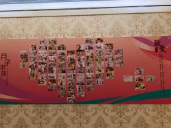 -生命加•Q考拉月子会所(玫瑰园店)