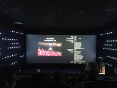 -深影国际影城(学院南路店CGS中国巨幕店)