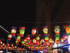 -锦江乐园舞狸花花游园会(夜场专享)