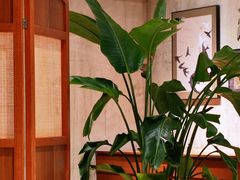 -有序Orderly融合西餐·咖啡(运河外滩店)