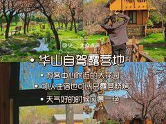 -华山风景名胜区