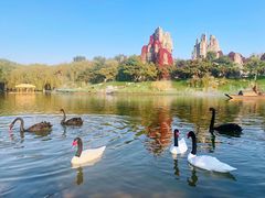 -北京野生动物园