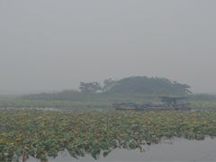 -微山湖红荷湿地景区