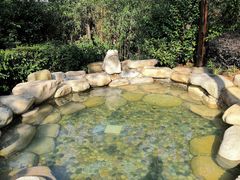 -天目湖涵田半山温泉