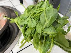 豌豆尖-海关荤豆花(洋河一路店)