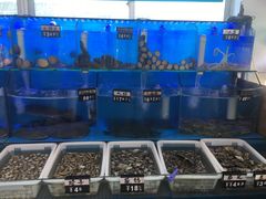 水产区-日照大牌檔•小船海鲜(万平口店)