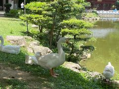 -团城山公园