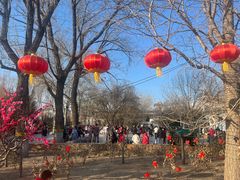 -莲花池公园