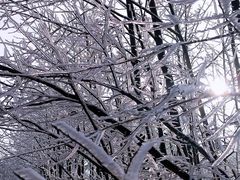 -四明山国家森林公园