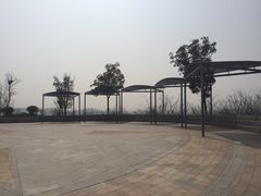 -羊山湖公园